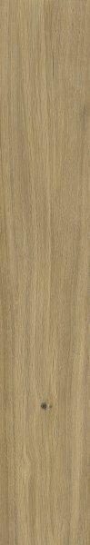 Płytka drewnopodobna Paradyż Prettywood Gold 19,8×119,8